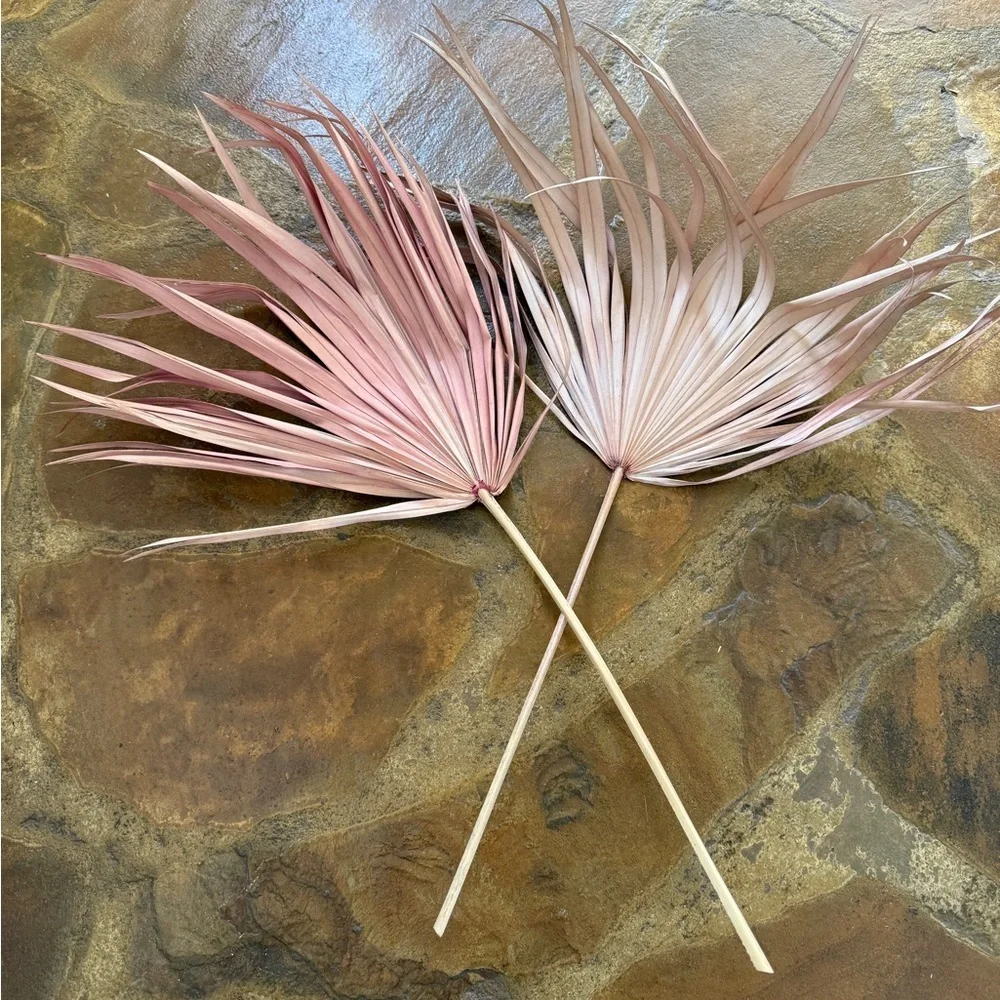Anthropologie new this